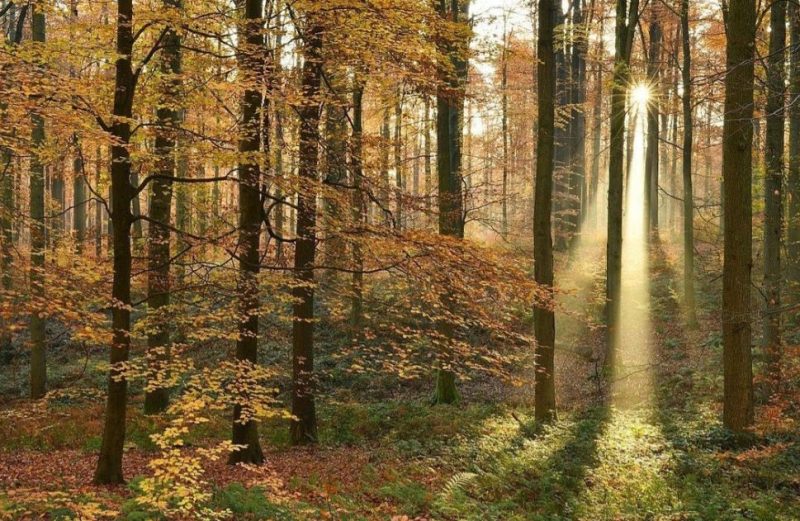 Tempat Destinasi Terbaik Di Belgia Untuk Liburan Keluarga