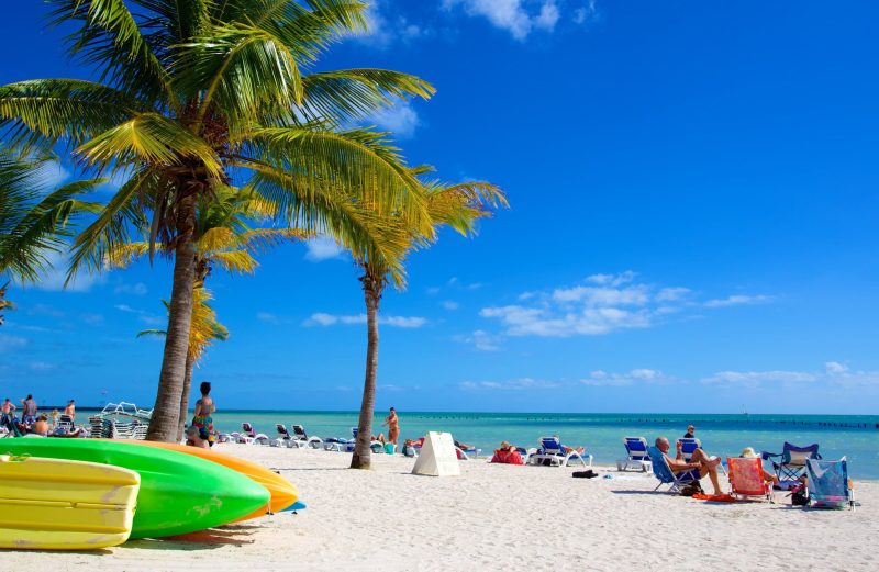 Rekomendasi Wisata Florida yang Wajib Di Kunjungi 2026